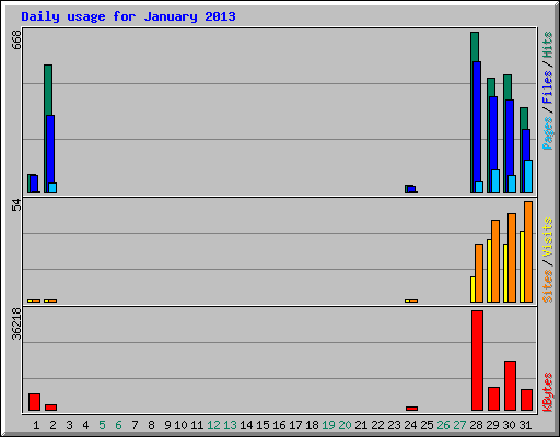 Daily usage for January 2013