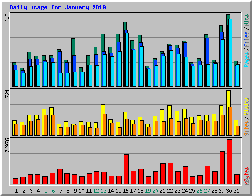 Daily usage for January 2019