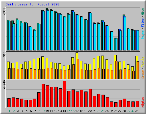 Daily usage for August 2020