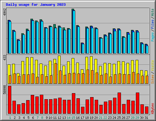 Daily usage for January 2023