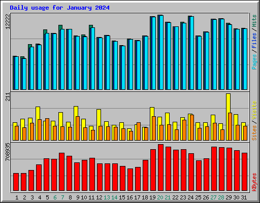 Daily usage for January 2024