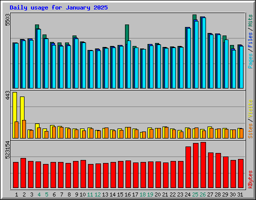 Daily usage for January 2025