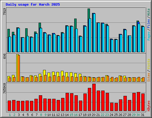 Daily usage for March 2025