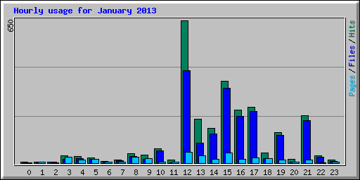 Hourly usage for January 2013