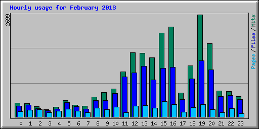 Hourly usage for February 2013