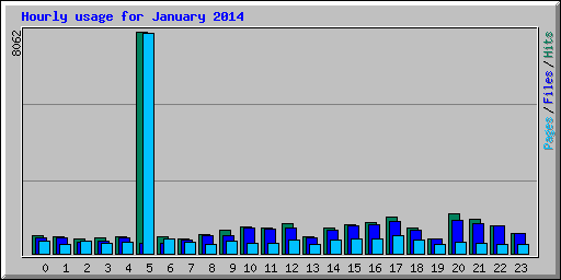 Hourly usage for January 2014