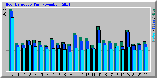 Hourly usage for November 2018