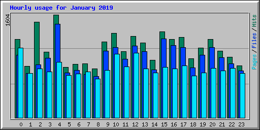 Hourly usage for January 2019