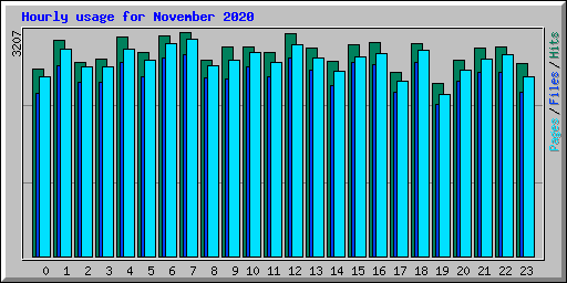 Hourly usage for November 2020
