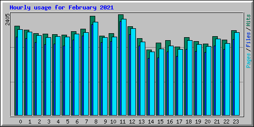 Hourly usage for February 2021