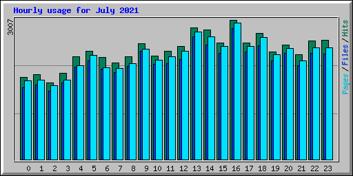 Hourly usage for July 2021