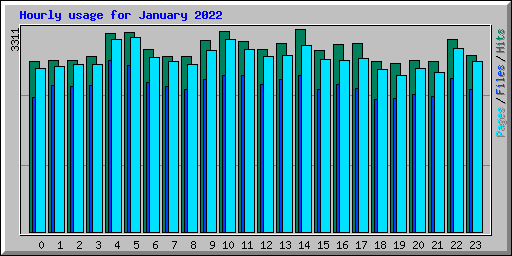 Hourly usage for January 2022