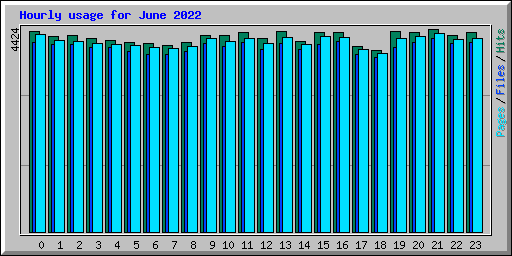 Hourly usage for June 2022