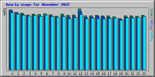 Hourly usage for November 2022