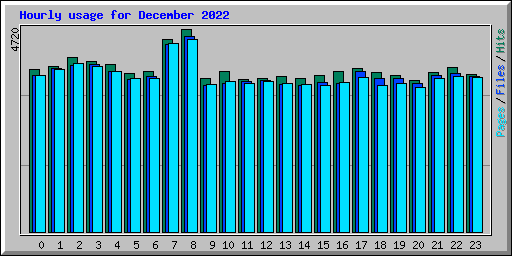 Hourly usage for December 2022