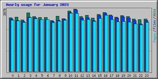 Hourly usage for January 2023