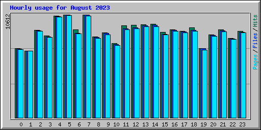 Hourly usage for August 2023