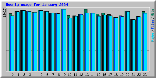 Hourly usage for January 2024