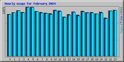 Hourly usage for February 2024