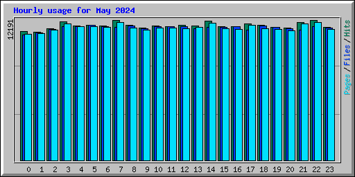 Hourly usage for May 2024