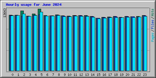 Hourly usage for June 2024