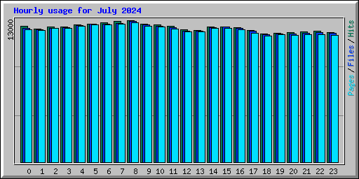 Hourly usage for July 2024