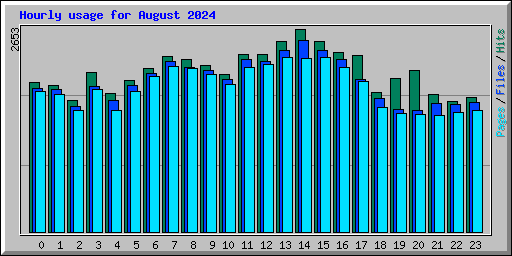 Hourly usage for August 2024