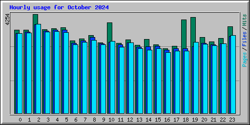 Hourly usage for October 2024