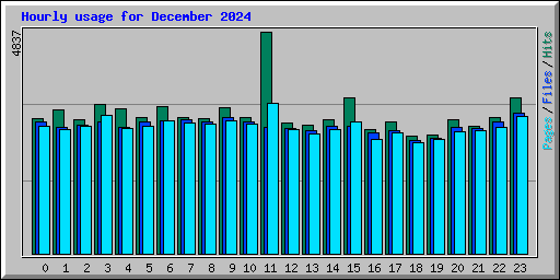 Hourly usage for December 2024