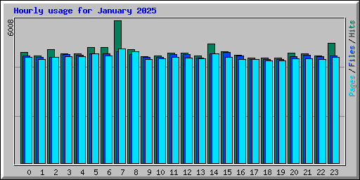 Hourly usage for January 2025