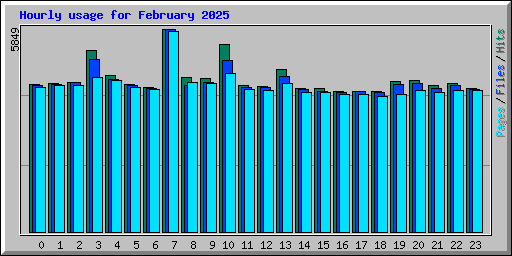 Hourly usage for February 2025