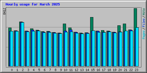 Hourly usage for March 2025