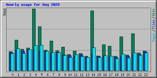 Hourly usage for May 2025