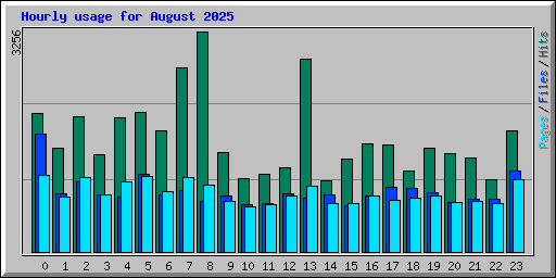 Hourly usage for August 2025