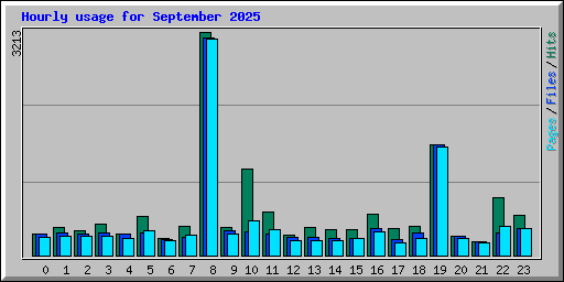 Hourly usage for September 2025