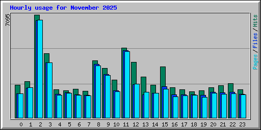 Hourly usage for November 2025
