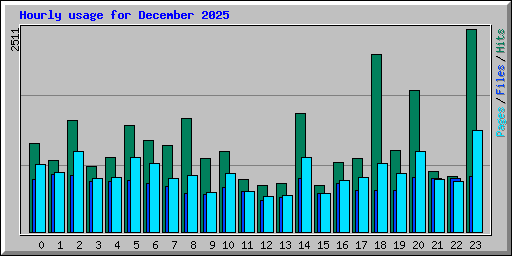Hourly usage for December 2025