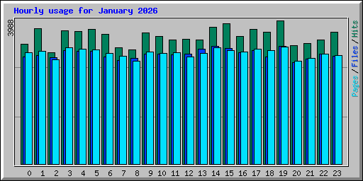 Hourly usage for January 2026
