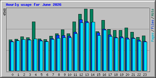 Hourly usage for June 2026