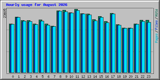 Hourly usage for August 2026
